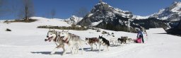 Kandersteg 2011